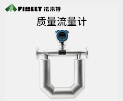 科里奥利质量流量计（型号ZL01-FMT）